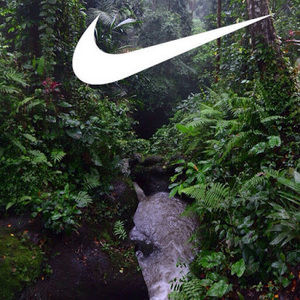 Meet your Posher, Edwin